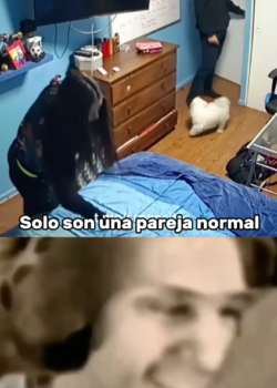 La parejitas normal del salón resulto terrible + video 2